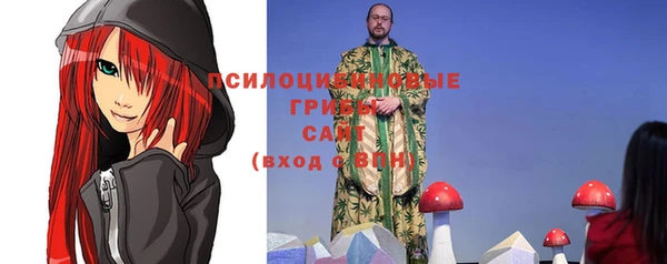 a pvp Лиски
