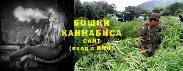 дживик Липки