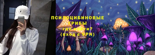 дживик Липки