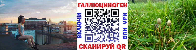Псилоцибиновые грибы Cubensis  гидра рабочий сайт  Николаевск-на-Амуре  где найти наркотики 